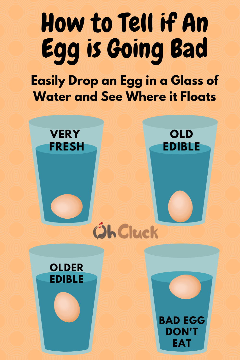 How To Tell If An Egg Is Going Bad  