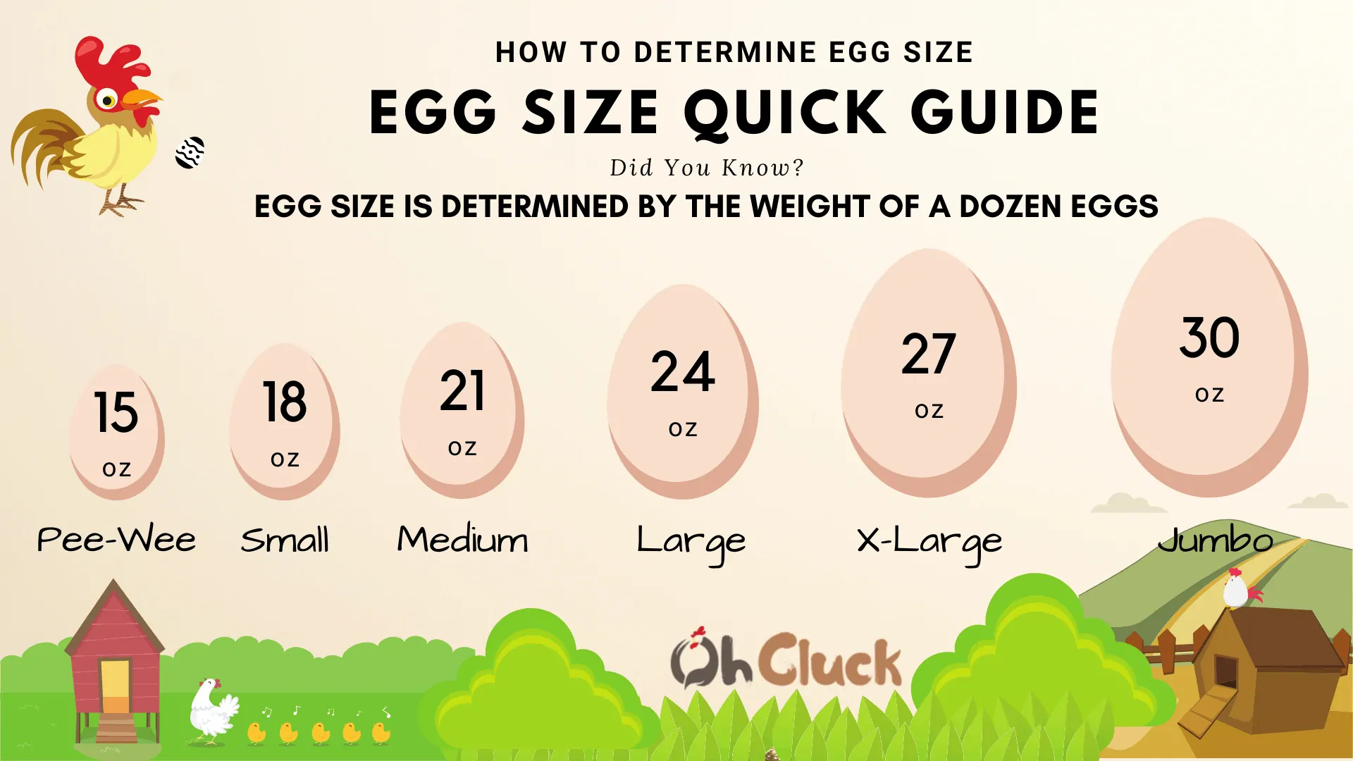 https://ohcluck.com/wp-content/uploads/2020/06/Egg-Size-Chart-1.webp