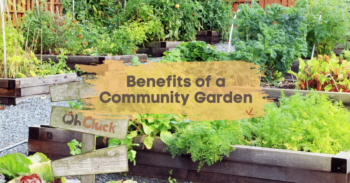 Benefits of a Community Garden