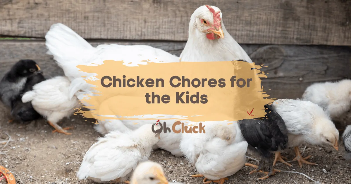 Chicken Chores for Kids