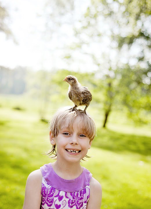 kids doing chicken chores