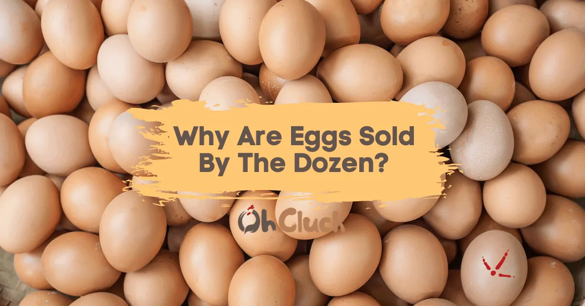 Why Are Eggs Sold by The Dozen?